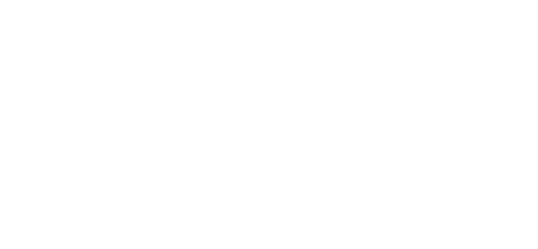 Comapnie_Logo_Achieve CMO
