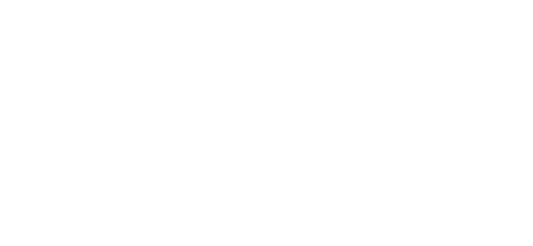 Comapnie_Logo_NYX
