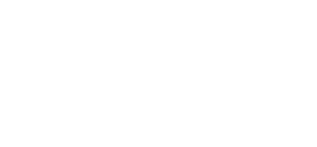 Comapnie_Logo_Strivo