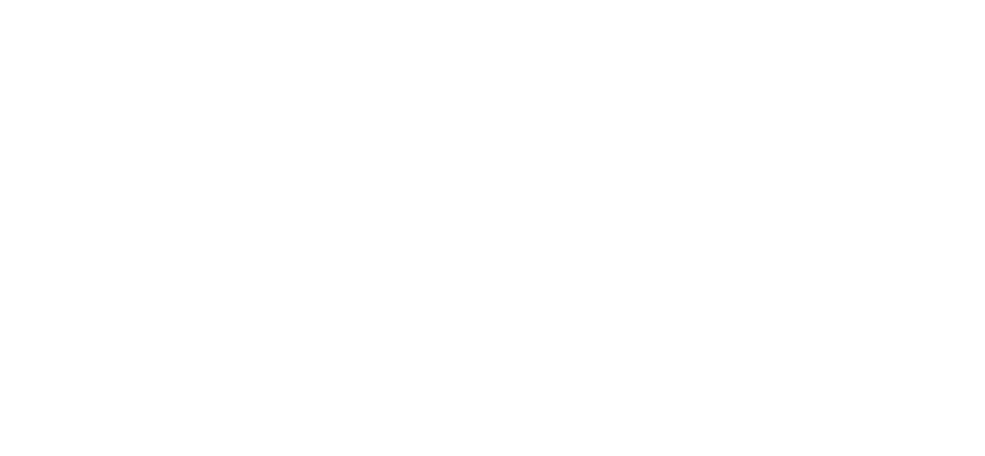 Comapnie_Logo_The Flavor Gang