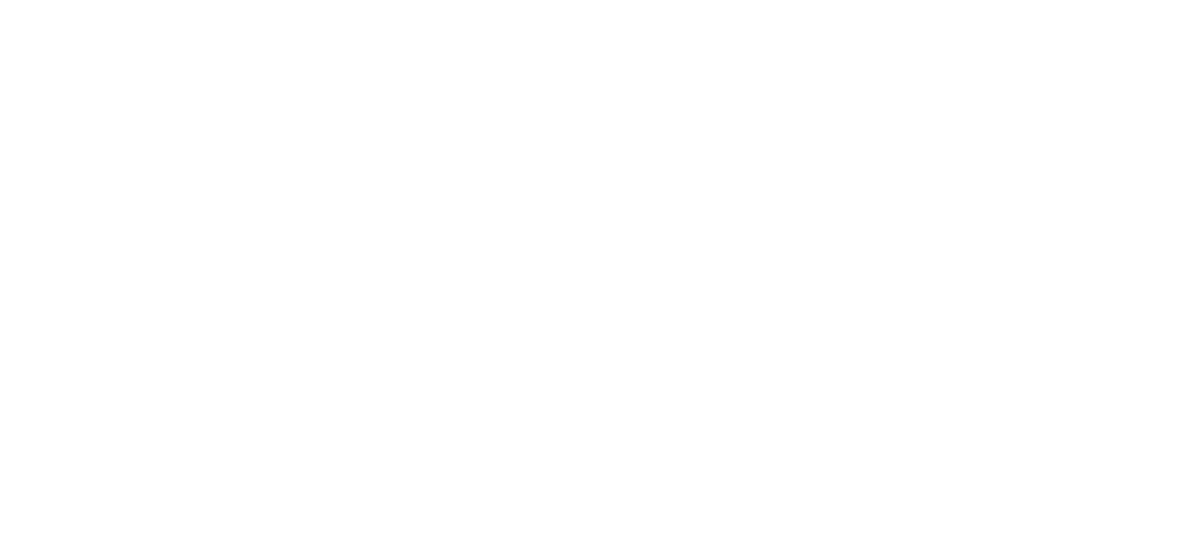 Comapnie_Logo_The Real Santa